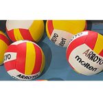 Balones Peques Voleibol